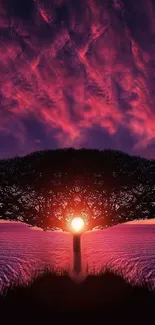 Silhouetted tree against vibrant purple sunset sky.