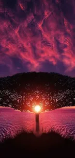 Majestic sunset with tree silhouette against vibrant purple sky.