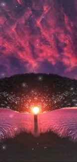 Tree silhouette at sunset with vibrant purple sky.