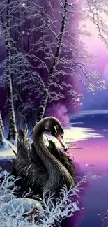 Majestic black swan on a snowy lake with purple sunset.