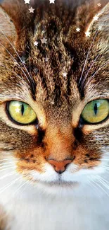 Close-up of a tabby cat with striking green eyes on a mobile wallpaper.