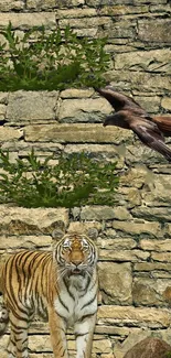 Tiger and bird in nature wallpaper with stone background.