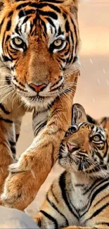 Majestic tiger with cub in the wild, artistic wallpaper.