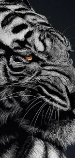 Monochrome tiger illustration with a golden eye.