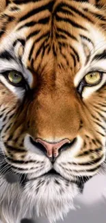 Majestic tiger face in detailed artistic style for mobile wallpaper.