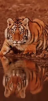 Majestic tiger by a water's edge with reflection.