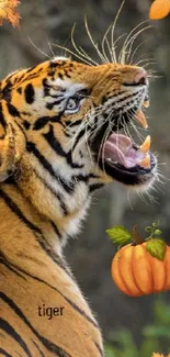 Majestic tiger amidst autumn leaves and pumpkin in vibrant wallpaper.