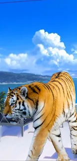 Majestic tiger on balcony with ocean and blue sky view.