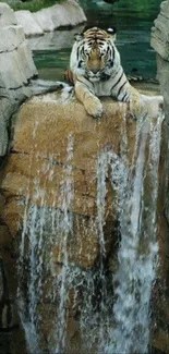 Tiger resting above a stunning waterfall landscape.