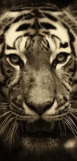 Sepia-toned close-up of a fierce tiger's face