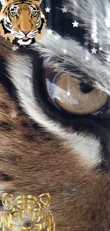 Close-up tiger eye with artistic accents.