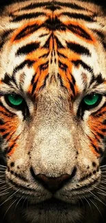 Close-up of a tiger's vibrant face with striking green eyes.