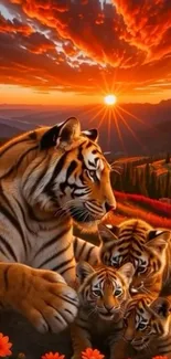 Majestic tiger family at sunset with vibrant sky.