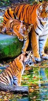 Tiger family by a pond in vibrant nature.