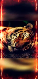 Tiger with fiery glowing effects in a mobile wallpaper.