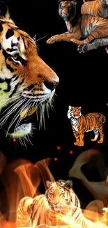 Dynamic illustration of tigers with fiery accents on a black background.