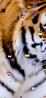 Majestic tiger with vibrant colorful heart icons on its side.