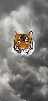 Tiger illustration with dark gray cloudy background.