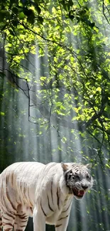 White tiger standing amidst sunlit forest greenery.