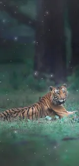 Majestic tiger resting in a lush, green forest setting.