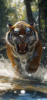 Majestic tiger running through a forest stream, showcasing its power and elegance.