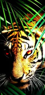 Majestic tiger with intense gaze in jungle foliage wallpaper.