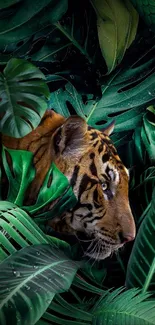 Tiger hidden among lush jungle leaves, vibrant green nature scene.