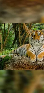 Majestic tiger lounging in a lush jungle setting, exuding serenity.