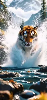 Tiger splashing through forest stream with mountains in background.