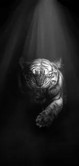 Tiger emerging from shadows in monochrome artwork, perfect for mobile wallpaper.