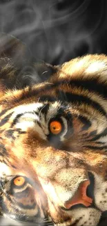 Close-up of a tiger with smoke in the background.