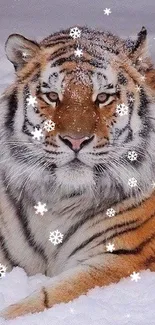 Majestic tiger resting in snowy environment with serene ambiance.