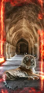 Tiger resting in illuminated stone hallway with red lighting.