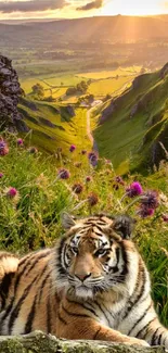 Tiger resting in a vibrant sunset valley landscape.