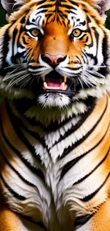 Majestic tiger with orange and black stripes in a lush green jungle setting.