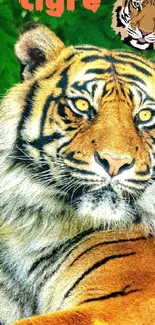 Majestic tiger against green foliage, vibrant orange and detailed features.