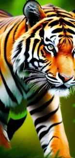 Stunning tiger prowling in a vivid, lush jungle setting, perfect for nature enthusiasts.