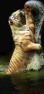 Majestic tiger leaping out of water in a natural setting on mobile wallpaper.