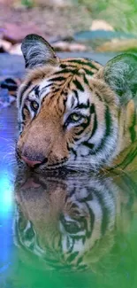 Majestic tiger in water surrounded by greenery, reflecting serenity.