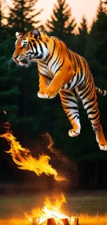 Tiger leaping over campfire with forest in background, vibrant wildlife scene.