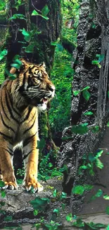 Majestic tiger steps through jungle with vibrant green leaves.