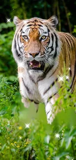 Majestic tiger walking through lush greenery with sparkling highlights.