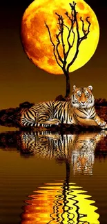 Tiger under a bright full moon reflected on calm water.