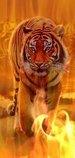 Majestic tiger walking gracefully with a fiery background.