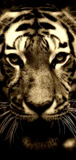 Close-up of a tiger's face with a dark, dramatic background.