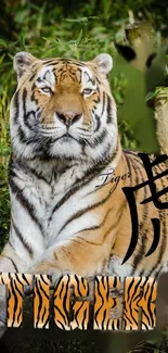 Majestic tiger surrounded by lush greenery with artistic text overlay.