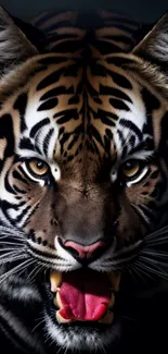 Fierce tiger roaring with vivid colors in a detailed mobile wallpaper design.
