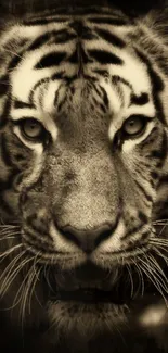 Sepia-toned wallpaper featuring a majestic tiger face in close-up view.