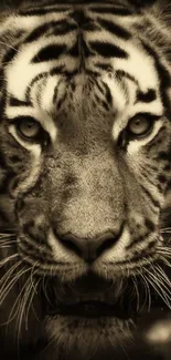 Sepia-toned close-up of a majestic tiger head.