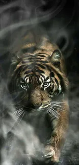 Majestic tiger emerging from shadows in a striking phone wallpaper.